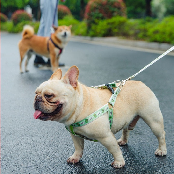 Lovely New Design Pet Dog Collar Chest &Leash