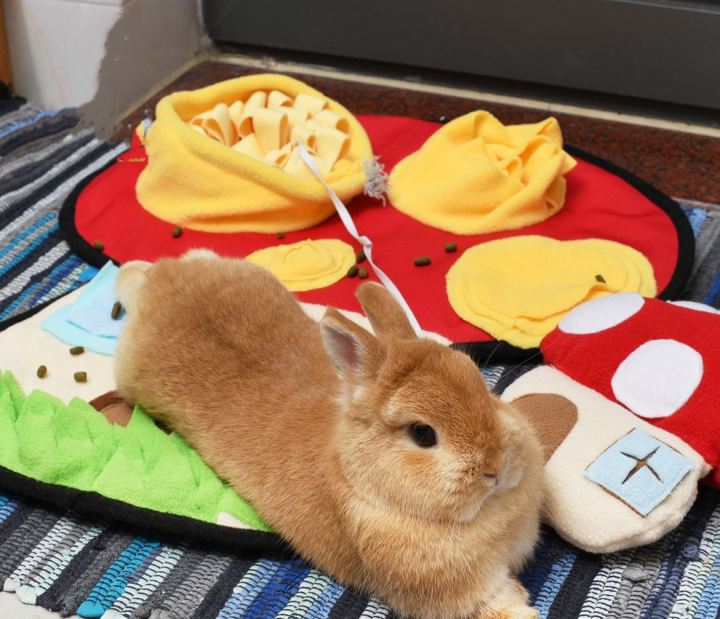 High Quality Polar Fleece Mushroom Style Pet Snuffle Mats