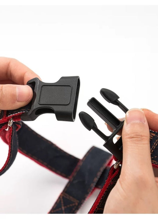 Lovely New Design Pet Dog Collar Chest &Leash