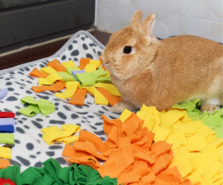 Hot Selling Colorful Pet Snuffle Mats