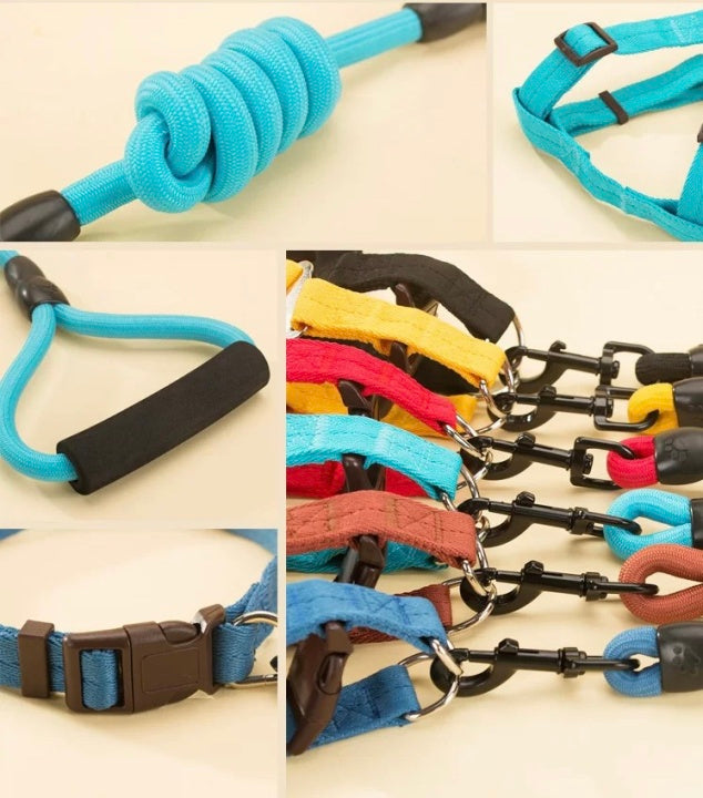 Fashion Durable Outside Dog Leash