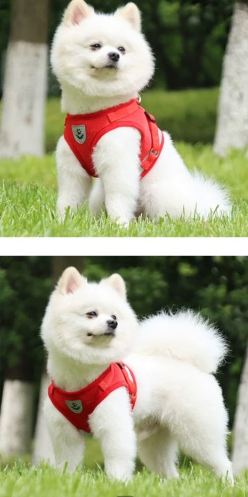 Breathable Summer Pet Chest Dog Collar