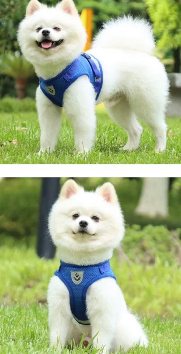 Breathable Summer Pet Chest Dog Collar