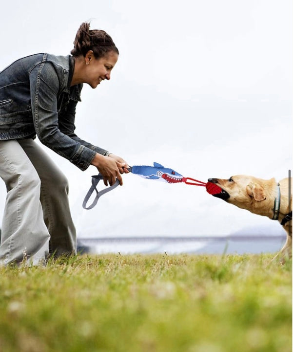 Amazon Hot Selling Durable Cotton Rope Dog Play Pet Toy