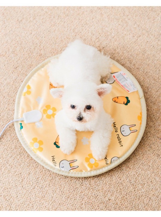 Chenpet Manufacturing New Design Winter Waterproof Heating Dog Mat Cat Mat