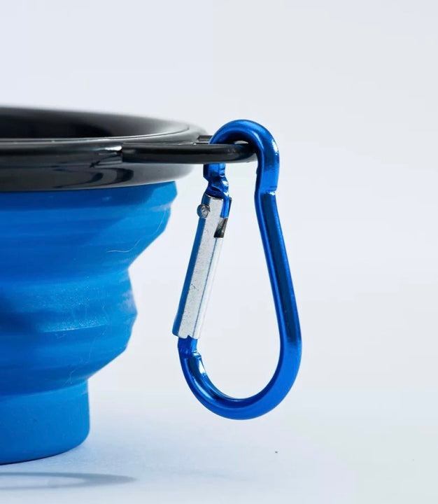 Colorful ABS Folding Feeder Bowl