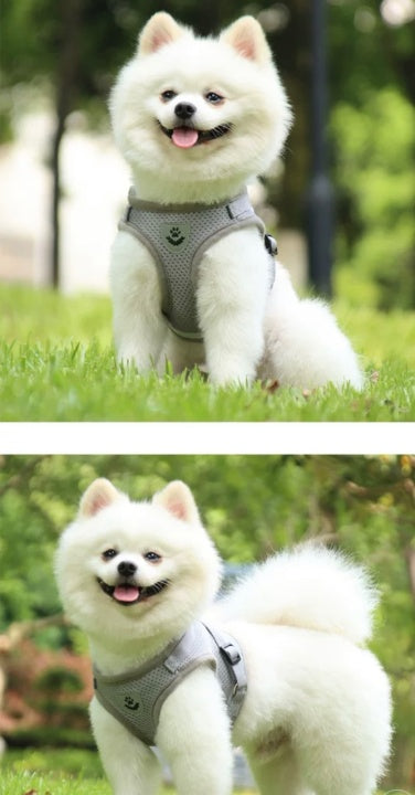 Breathable Summer Pet Chest Dog Collar