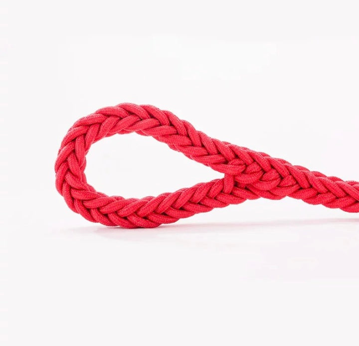 Hot selling Durable Nylon Pet Dog Leash