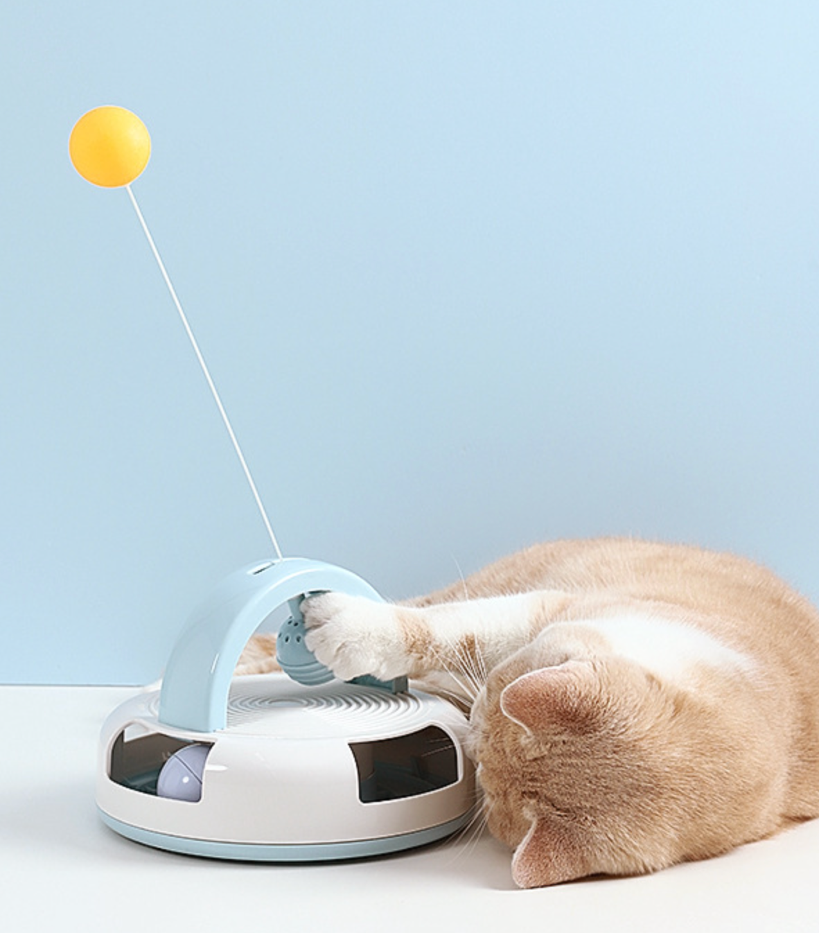 Chenpet New Arrival Table Tennis Cat Play PP Toys