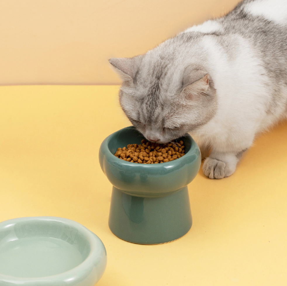 Chenpet Wholesale High Quality Ceramic Pet Water & Food Bowl