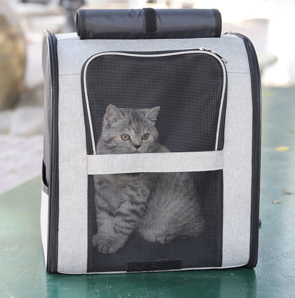 Chenpet Durable Hot Selling Cat Carrier Pet Outside Bags