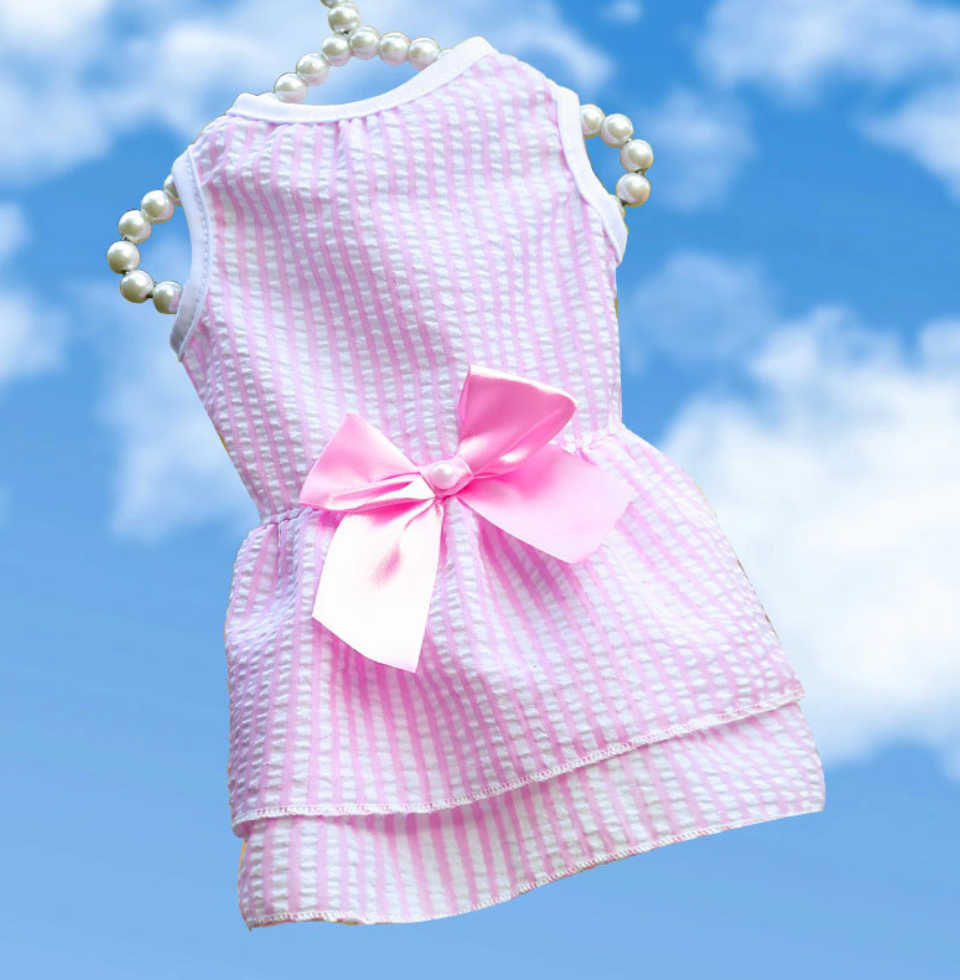 Chenpet Spring & Summer Hot Selling Pet Dresses Dog Apparels