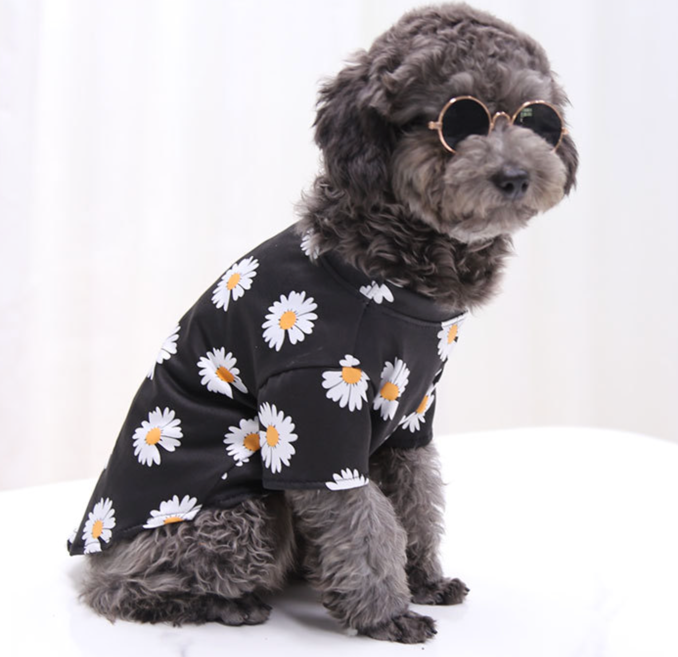 Chenpet Wholesale Cotton Pet Wear Dog Apparels Cat Clothes