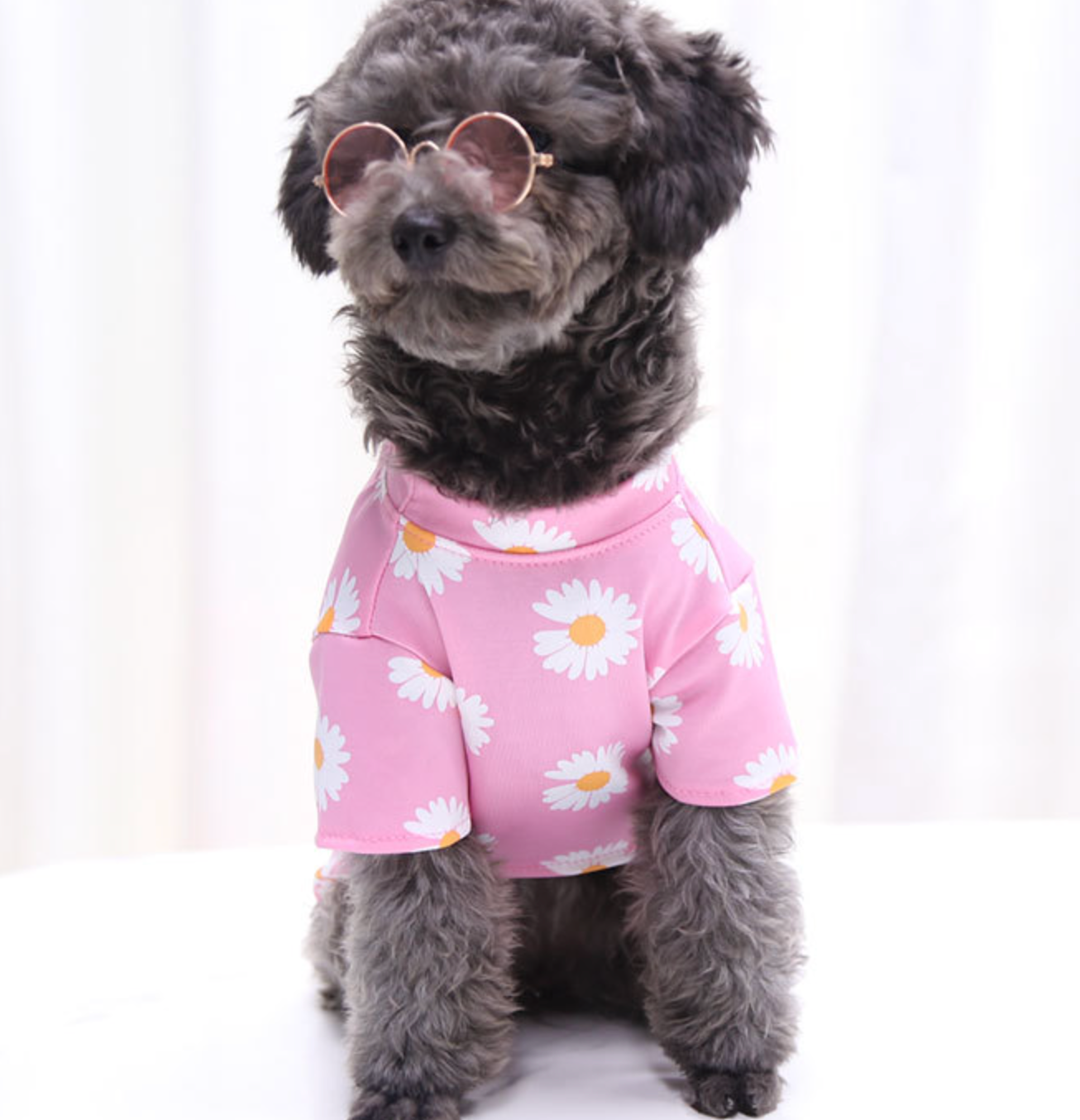 Chenpet Wholesale Cotton Pet Wear Dog Apparels Cat Clothes