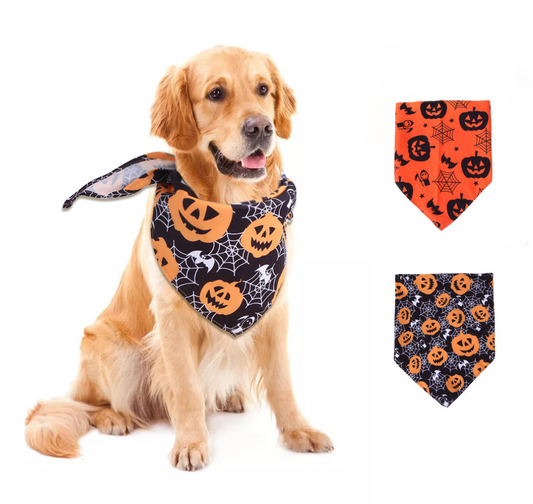 Chenpet Wholesale High Quality Pet Mouth Wipes Halloween Dog Mouth towels