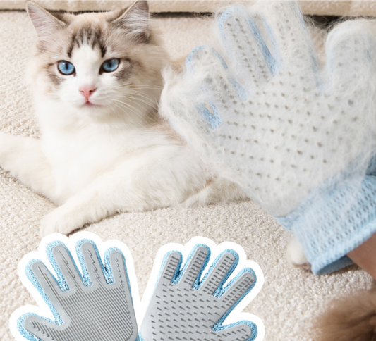 Chenpet Wholesale Cat Grooming Gloves Clean Tools