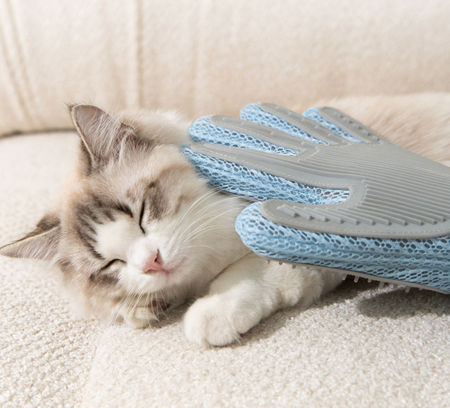 Chenpet Wholesale Cat Grooming Gloves Clean Tools