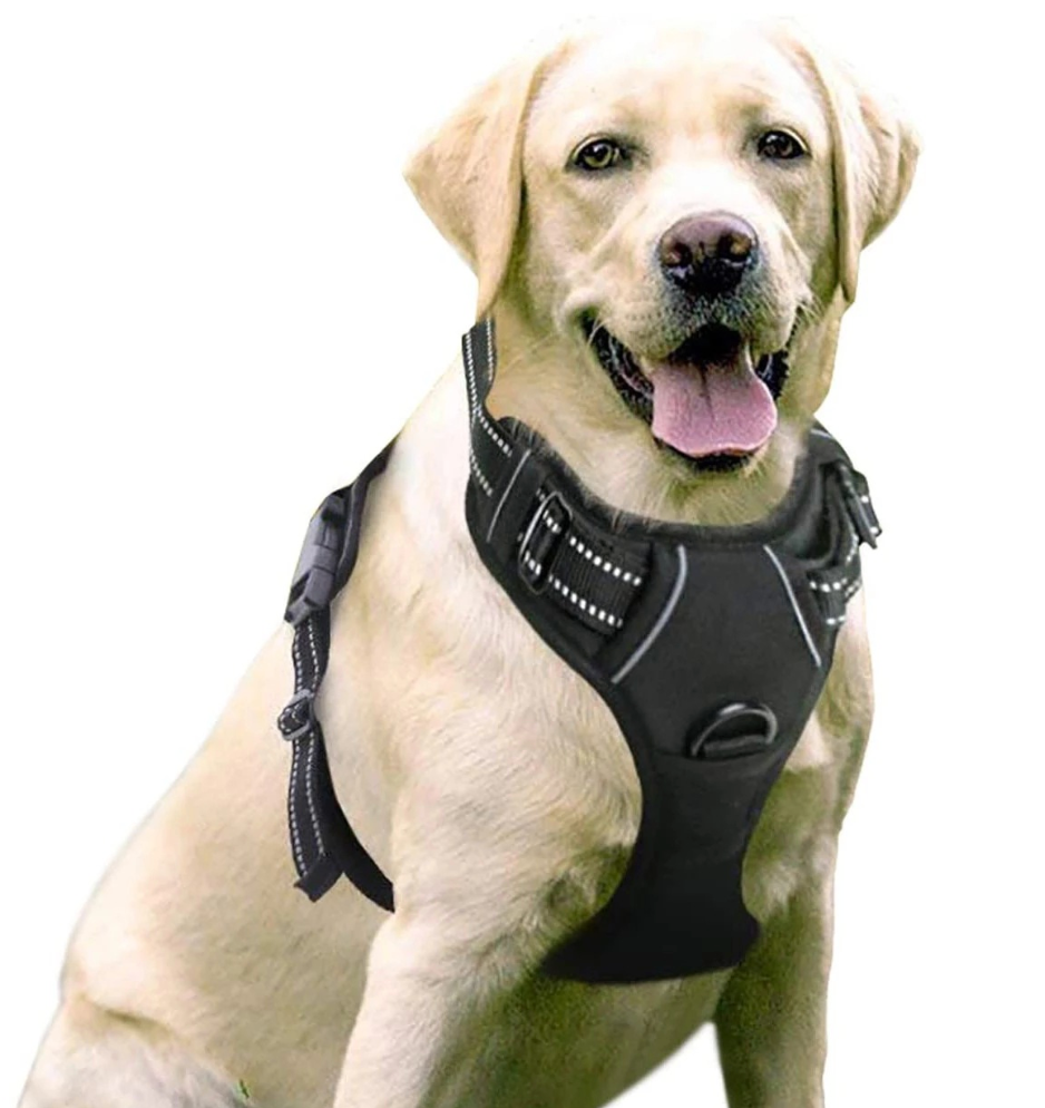 Chenpet Wholesale Custom Pet Harness Sets Dog Accessories