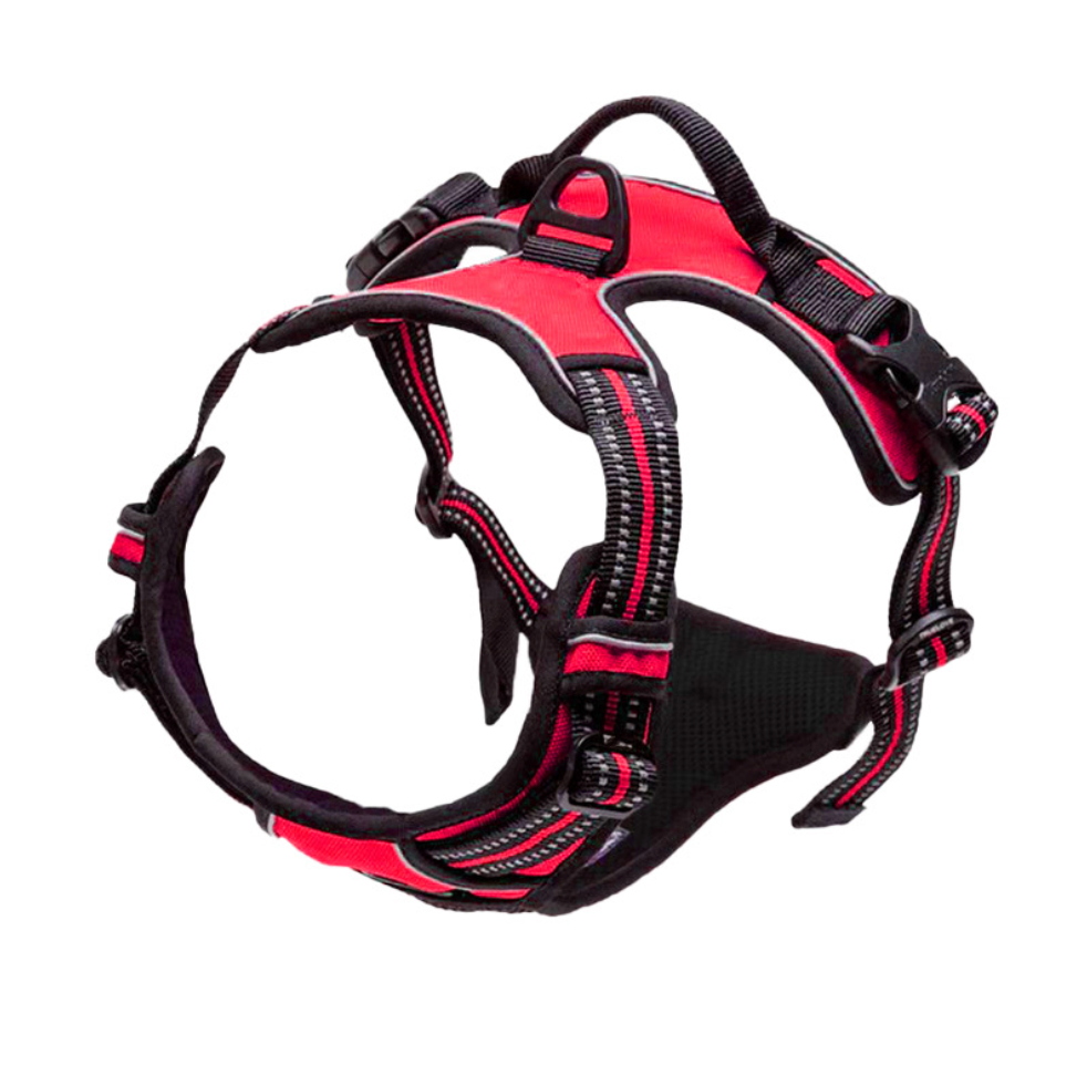 Chenpet Wholesale Custom Pet Harness Sets Dog Accessories