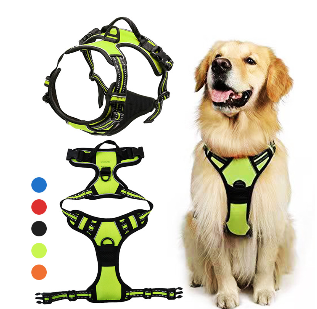 Chenpet Wholesale Custom Pet Harness Sets Dog Accessories