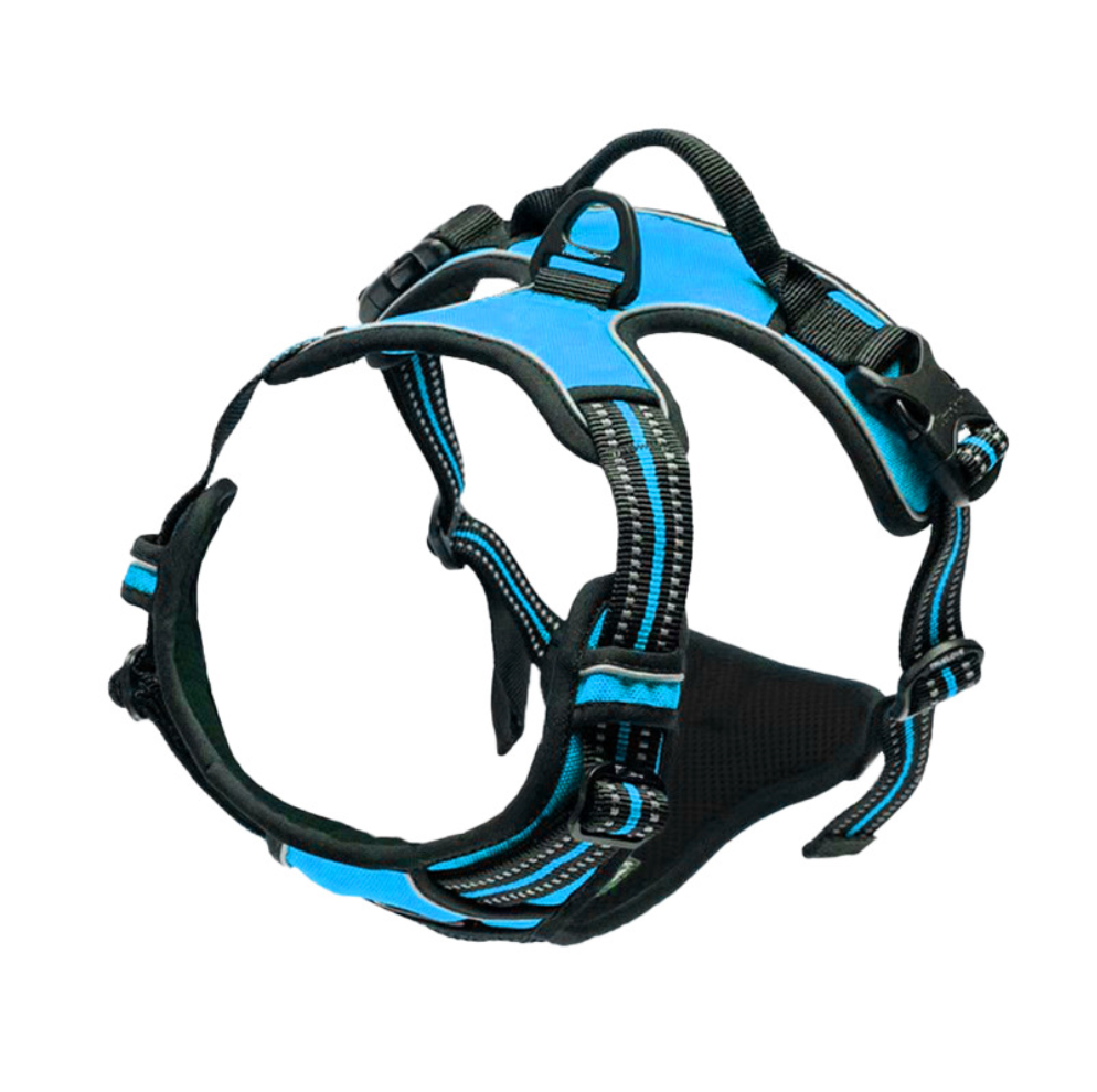 Chenpet Wholesale Custom Pet Harness Sets Dog Accessories