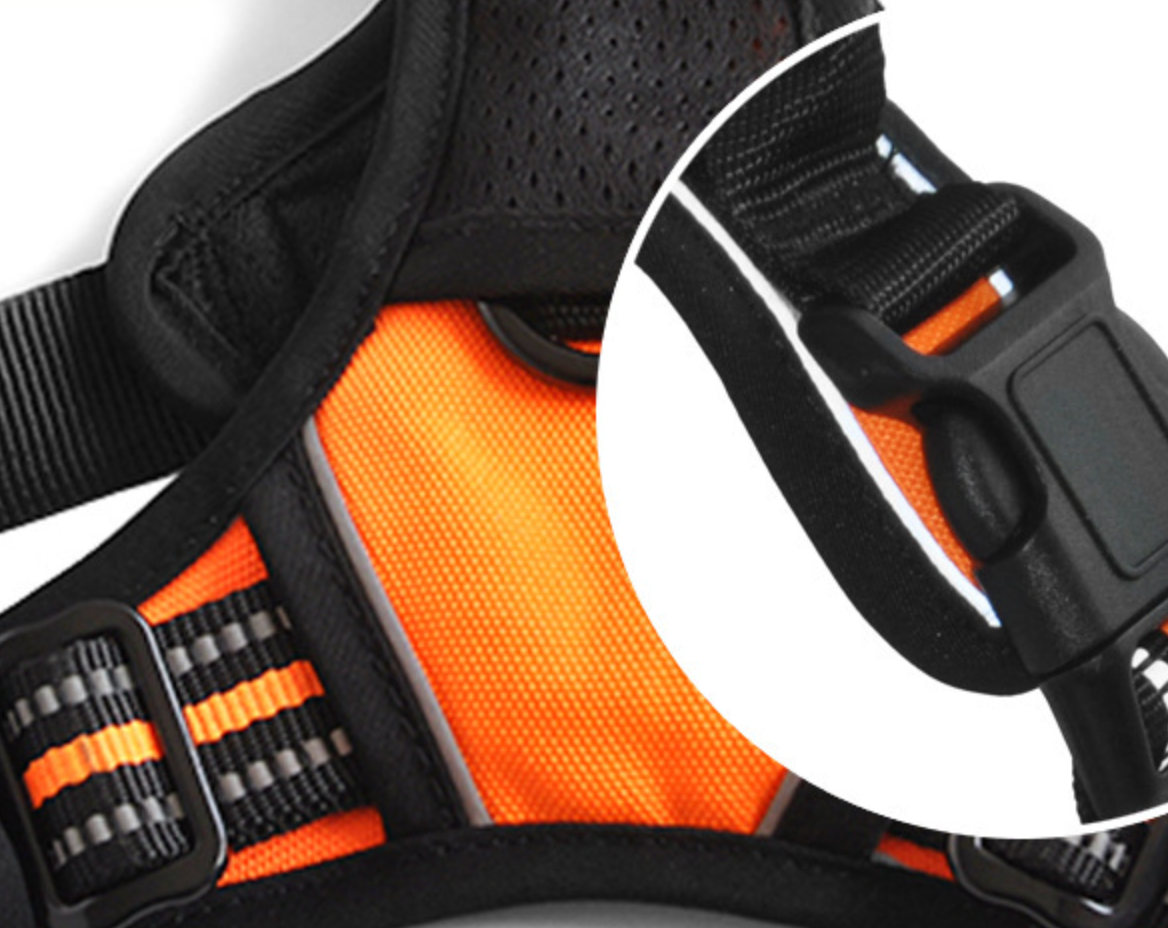 Chenpet Wholesale Custom Pet Harness Sets Dog Accessories