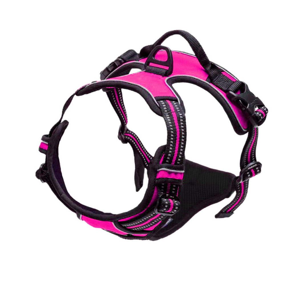Chenpet Wholesale Custom Pet Harness Sets Dog Accessories