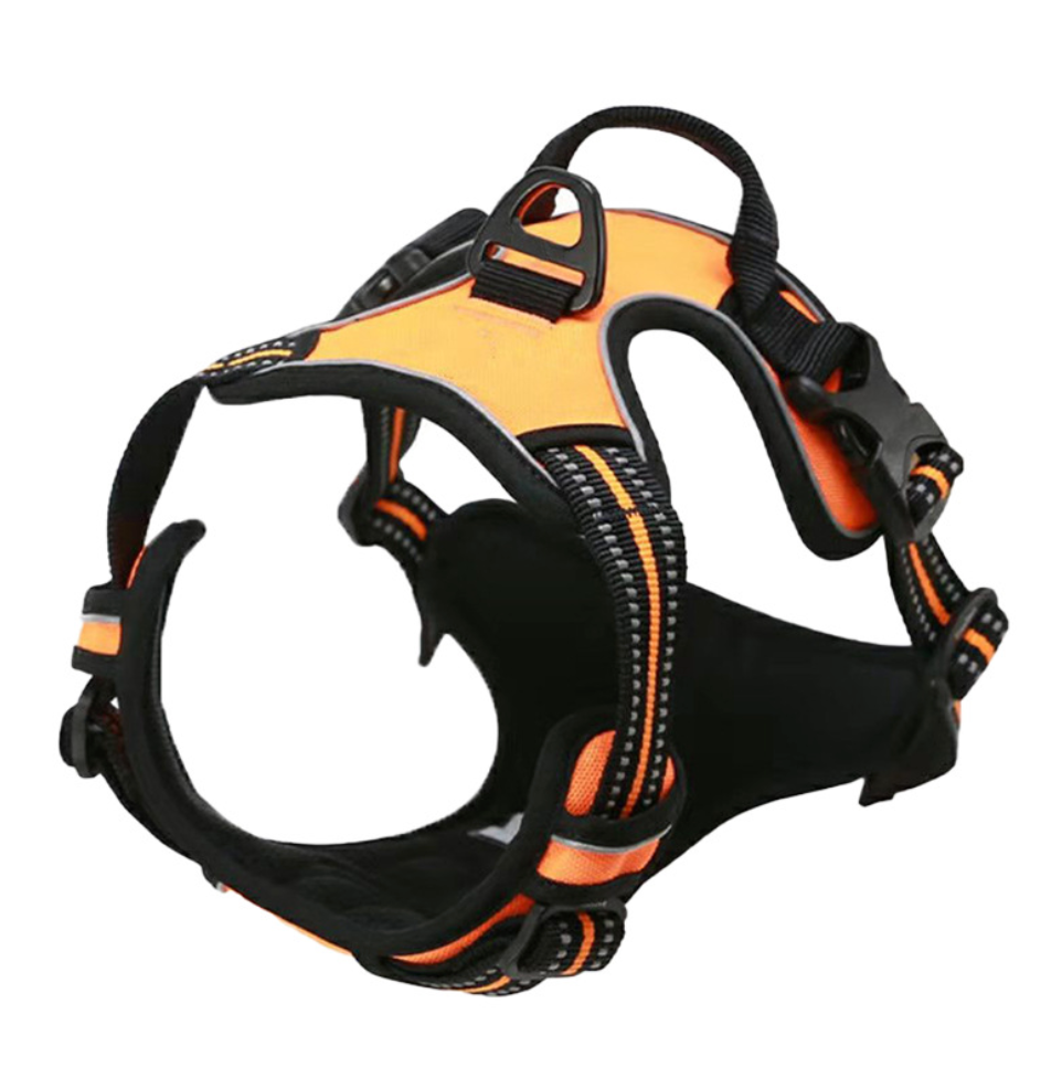 Chenpet Wholesale Custom Pet Harness Sets Dog Accessories