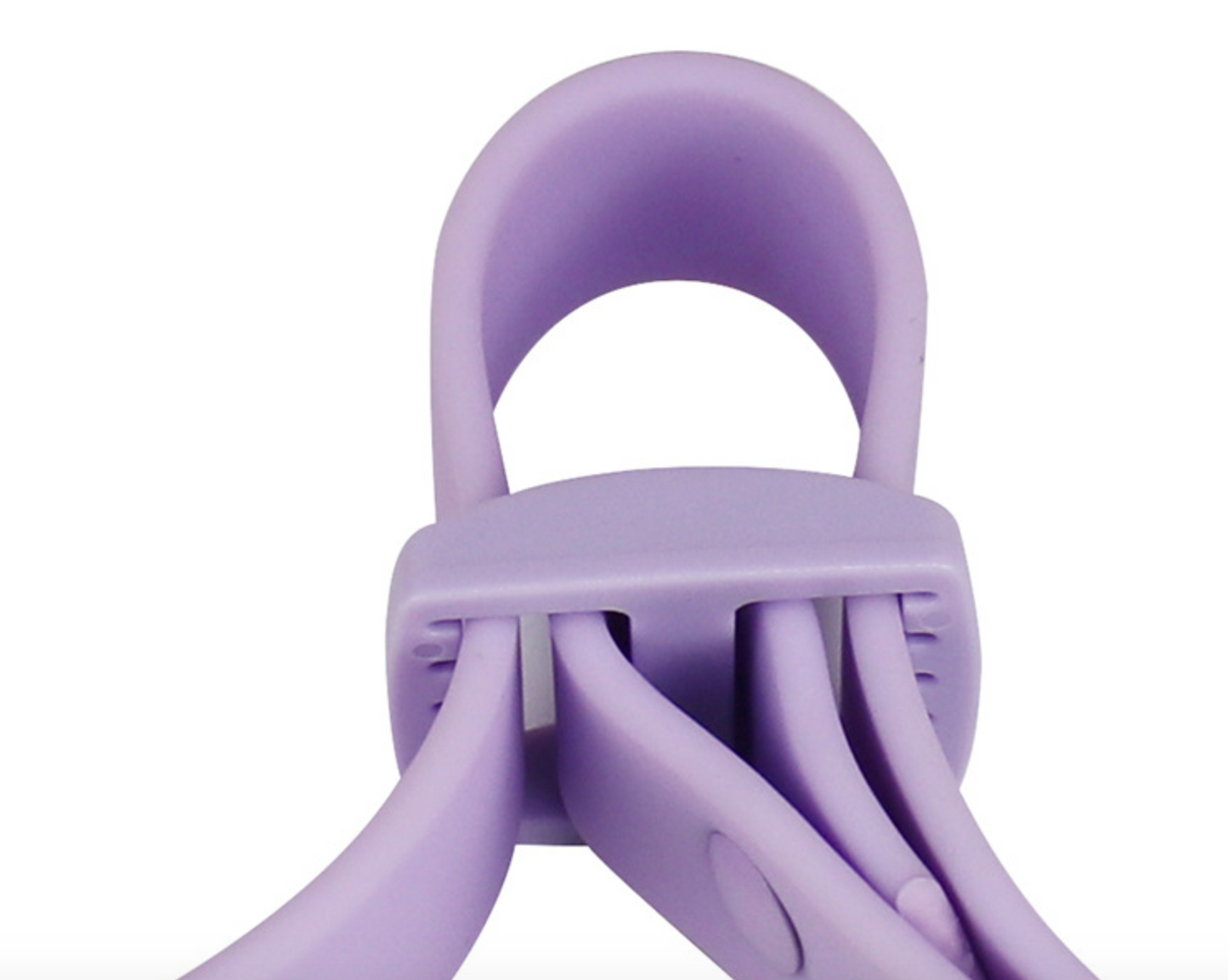 Chenpet Wholesale Custom Pet PVC Collars Pet Leashes Dog Accessories