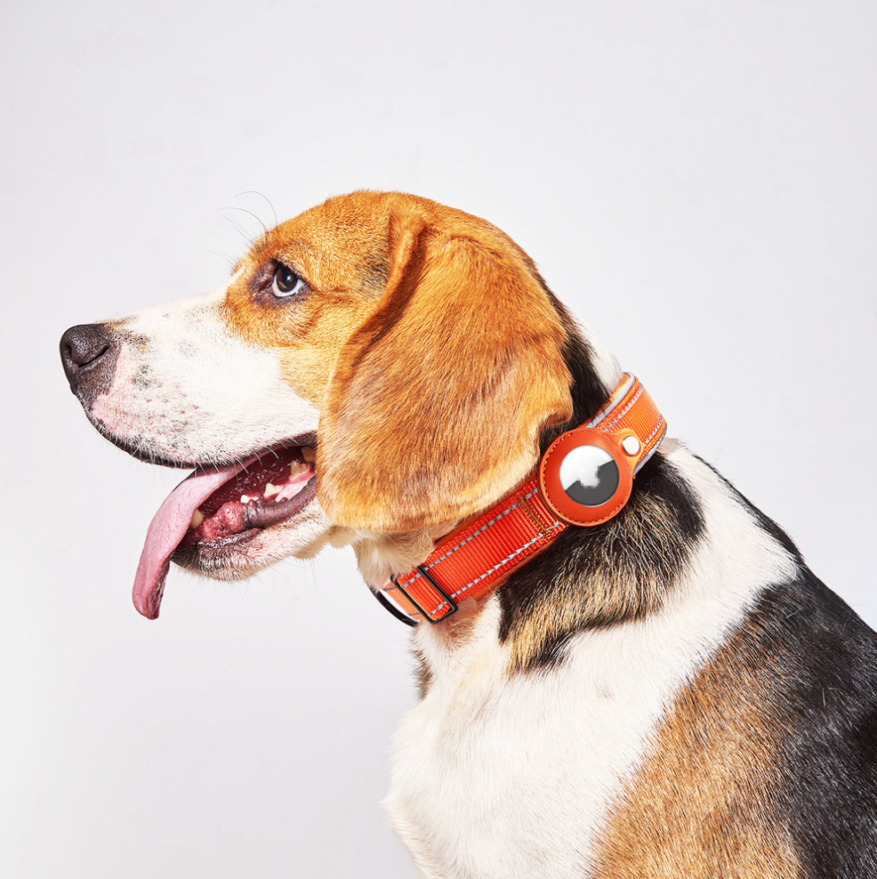 Chenpet Custom Dog AirTag Pet Collars Dog Leashed Pet Accessories