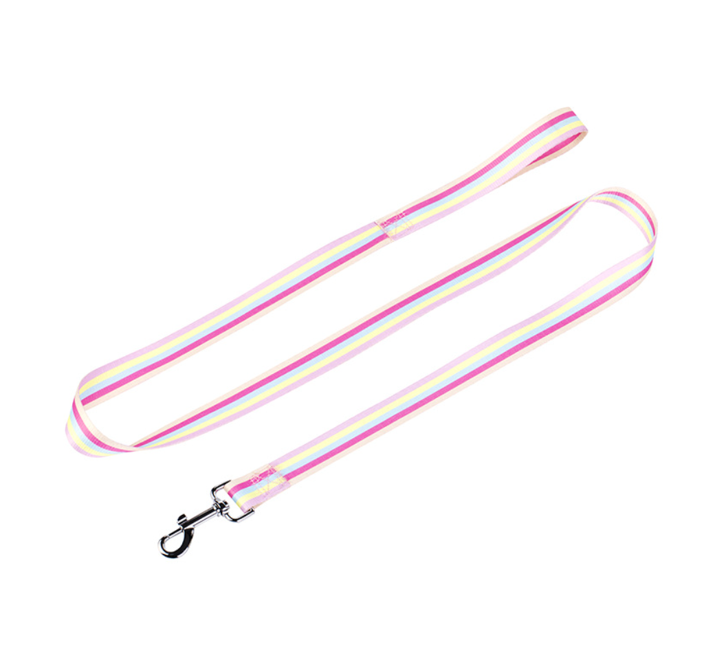 Chenpet Summer New Design Breathable Pet Collars Dog Leashes