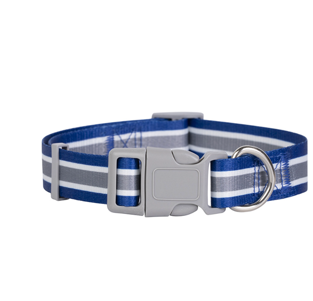 Chenpet Summer New Design Breathable Pet Collars Dog Leashes
