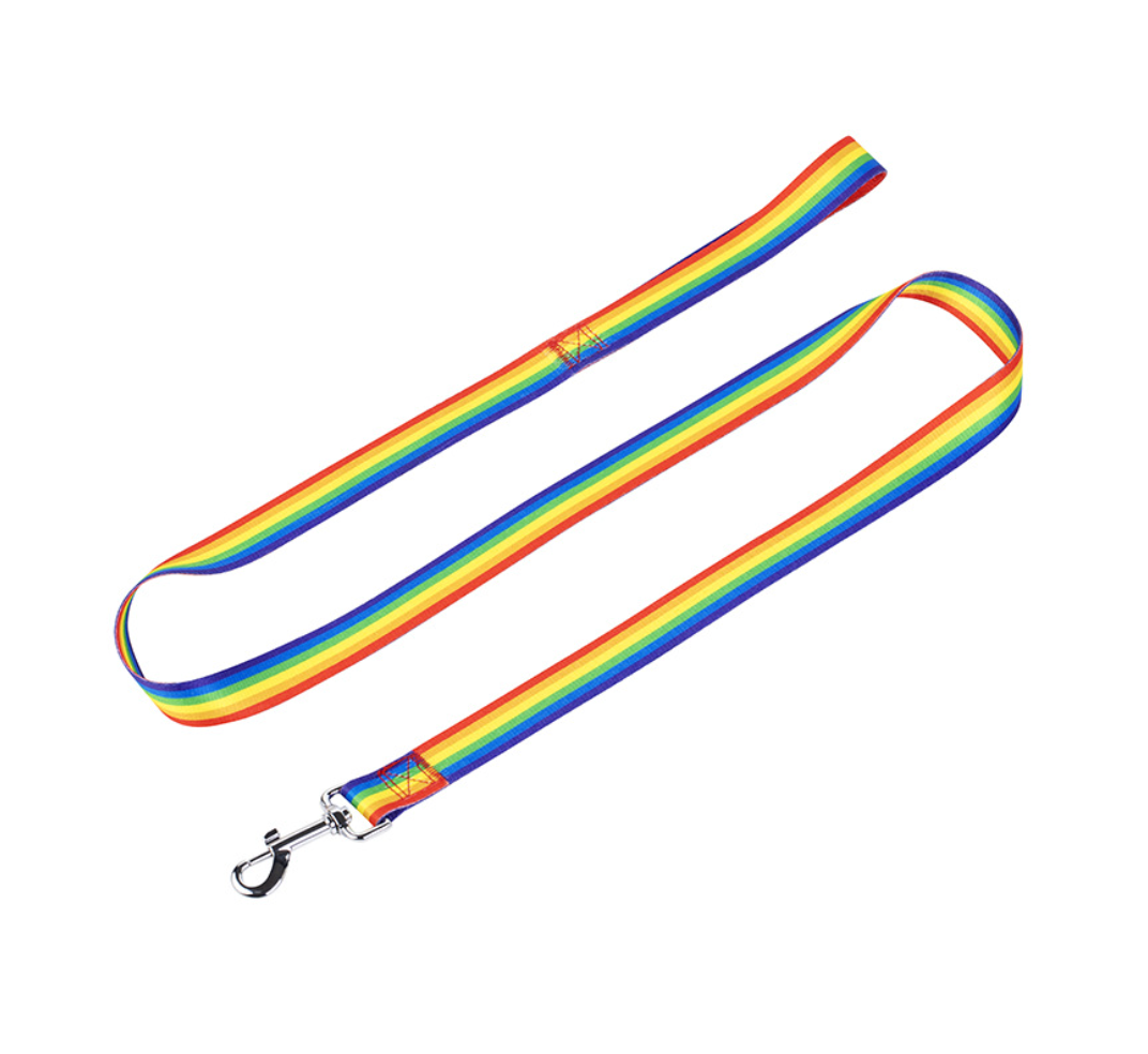 Chenpet Summer New Design Breathable Pet Collars Dog Leashes