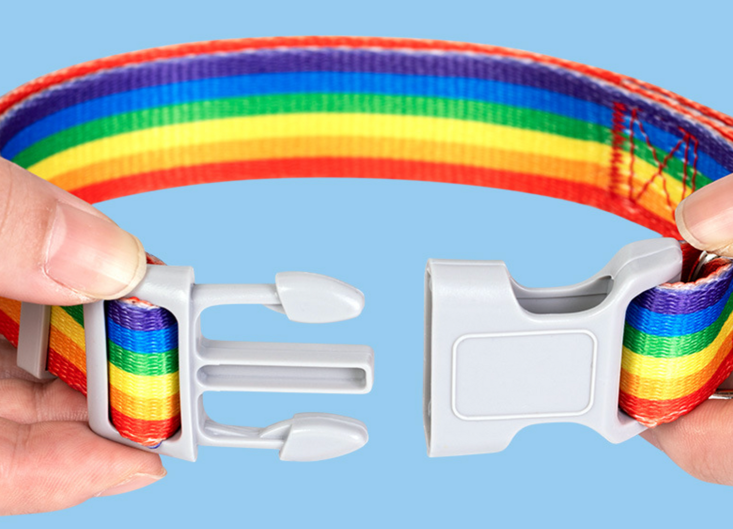 Chenpet Summer New Design Breathable Pet Collars Dog Leashes