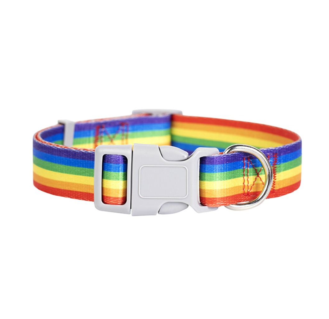 Chenpet Summer New Design Breathable Pet Collars Dog Leashes