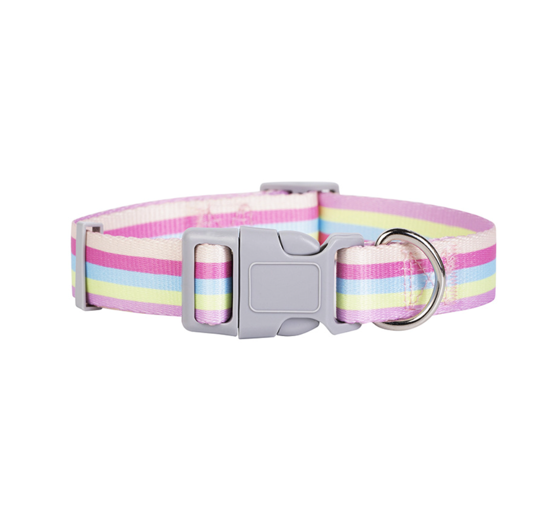 Chenpet Summer New Design Breathable Pet Collars Dog Leashes