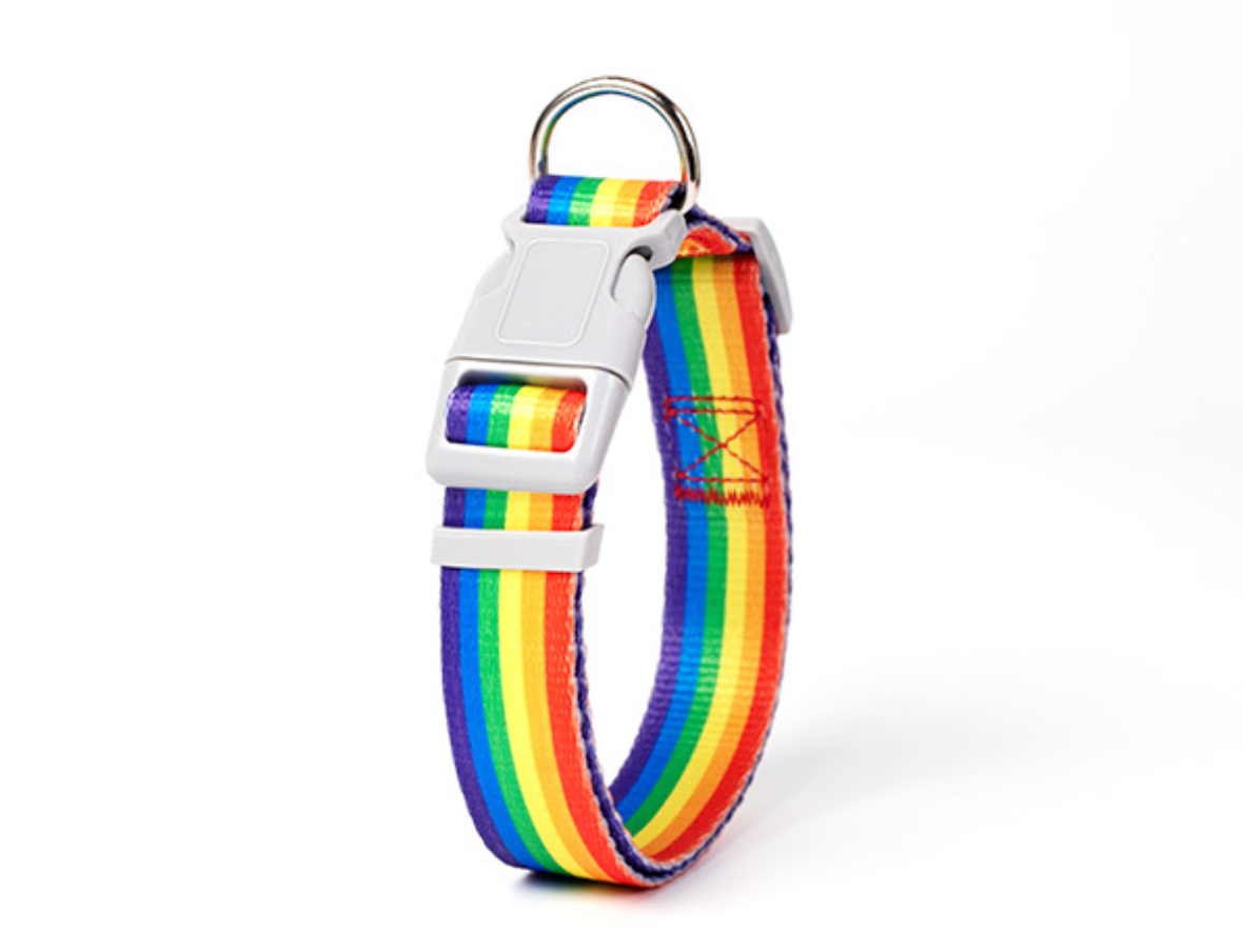 Chenpet Summer New Design Breathable Pet Collars Dog Leashes
