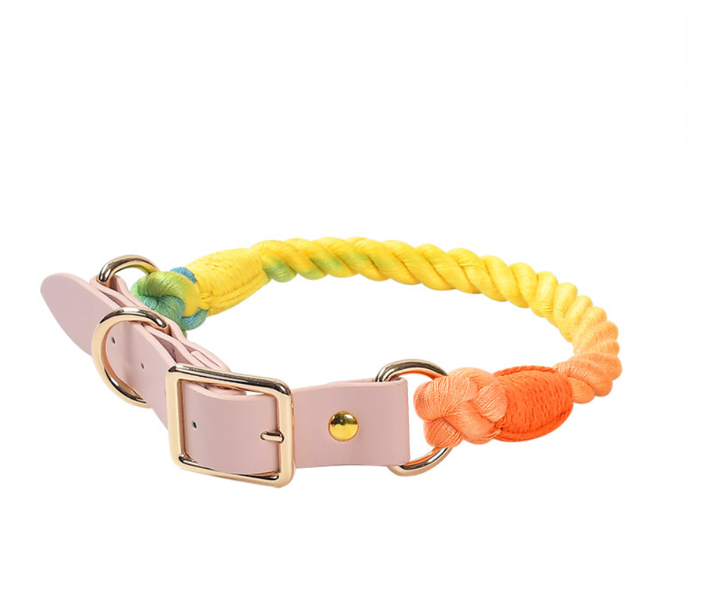 Chenpet Hot Selling Custom Macaron Series Pet Collars Dog Leashes