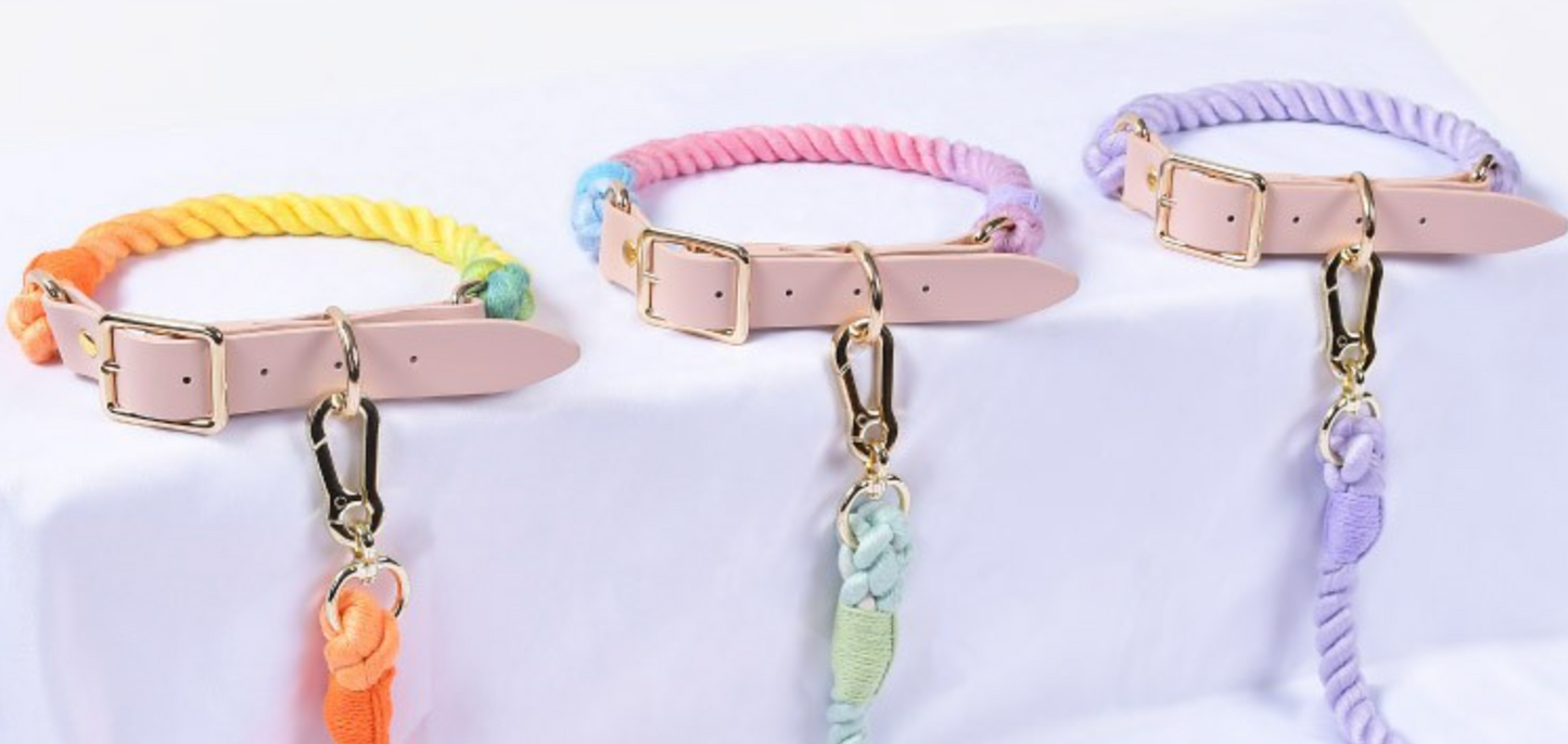 Chenpet Hot Selling Custom Macaron Series Pet Collars Dog Leashes