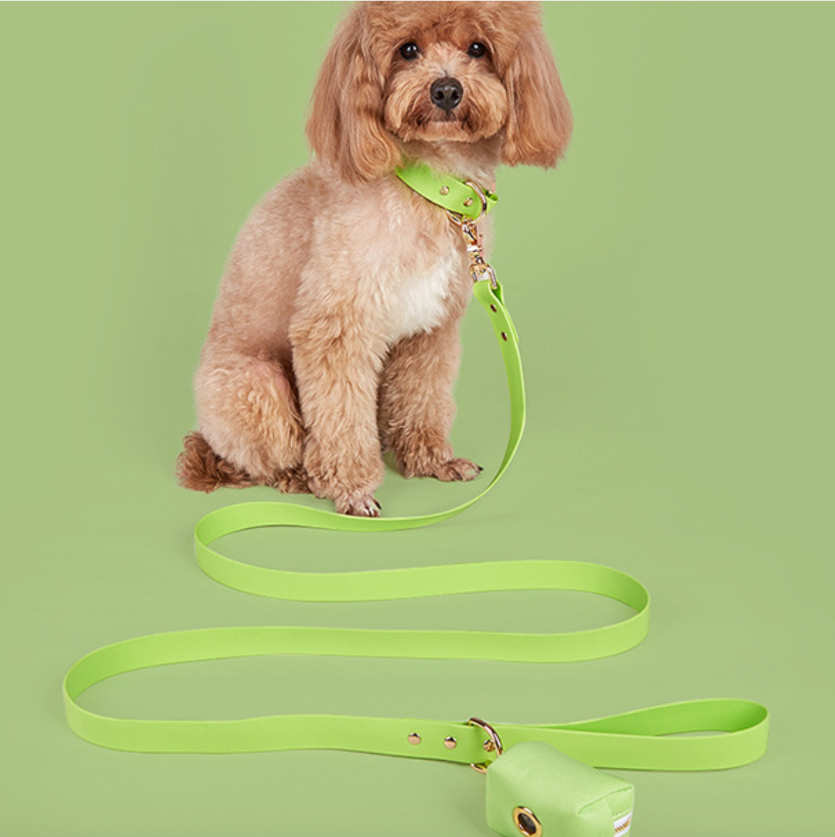 Chenpet Custom New Design Dog Collars Pet PVC Leashed Sets