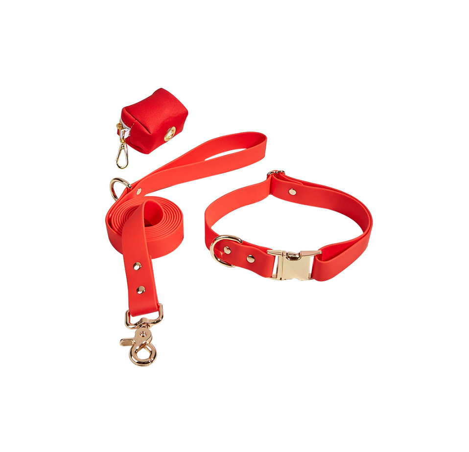 Chenpet Custom New Design Dog Collars Pet PVC Leashed Sets