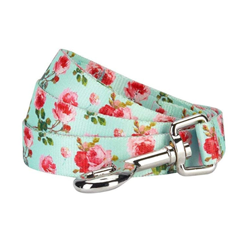 Chenpet Wholesale Nylon Pet Leashes Dog Custom Patterns Leashes