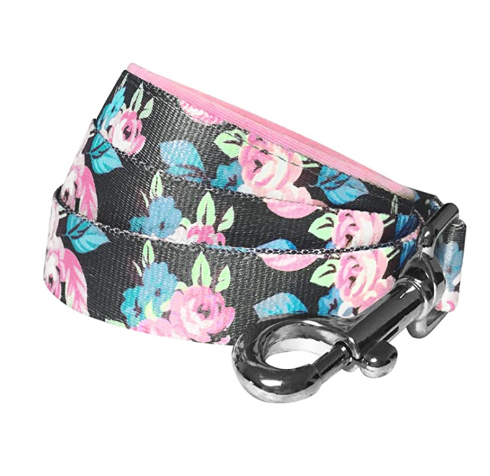 Chenpet Wholesale Nylon Pet Leashes Dog Custom Patterns Leashes