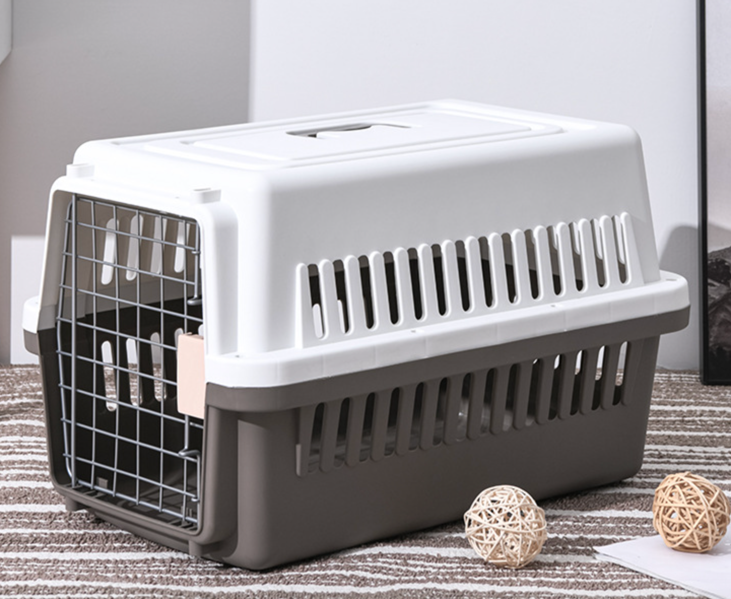 Chenpet Wholesale Pet Outside Carrier Box Dog PP Air Box