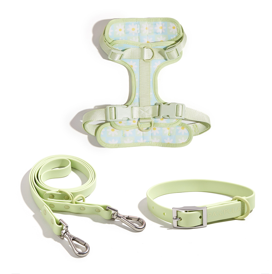 Chenpet New Design Of PVC Pet Collars Dog Harness Sets