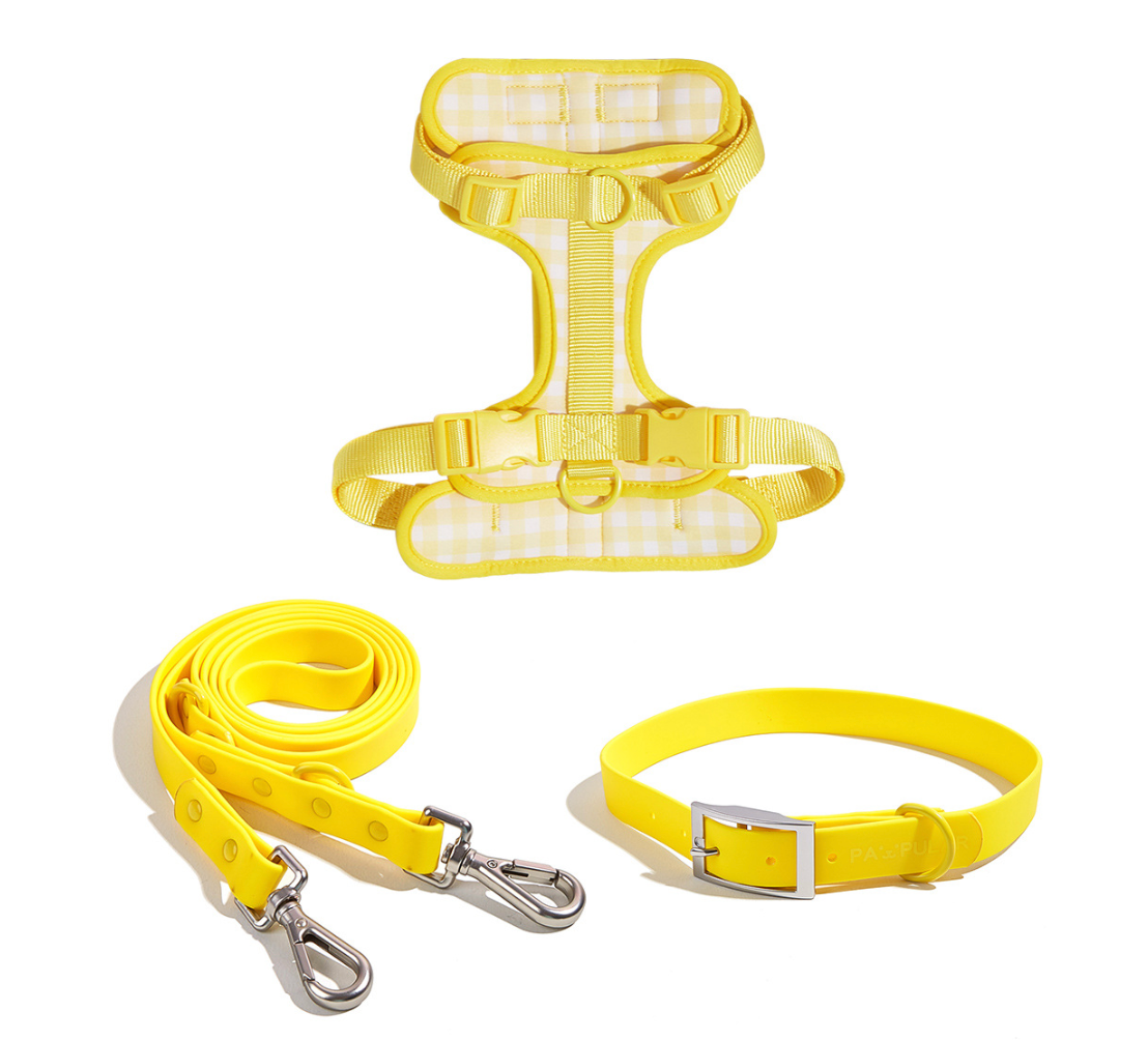 Chenpet New Design Of PVC Pet Collars Dog Harness Sets