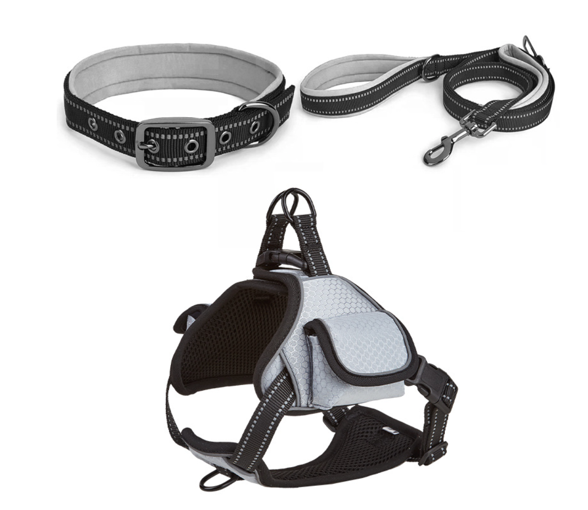 Chenpet Wholesale Super High Quality Pet Accessories Dog Collars