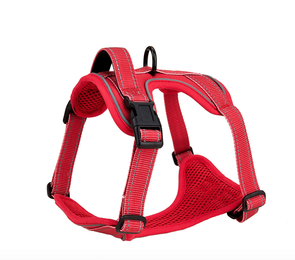 Chenpet Breathable Pet Harness Colorful Dog Custom Accessories