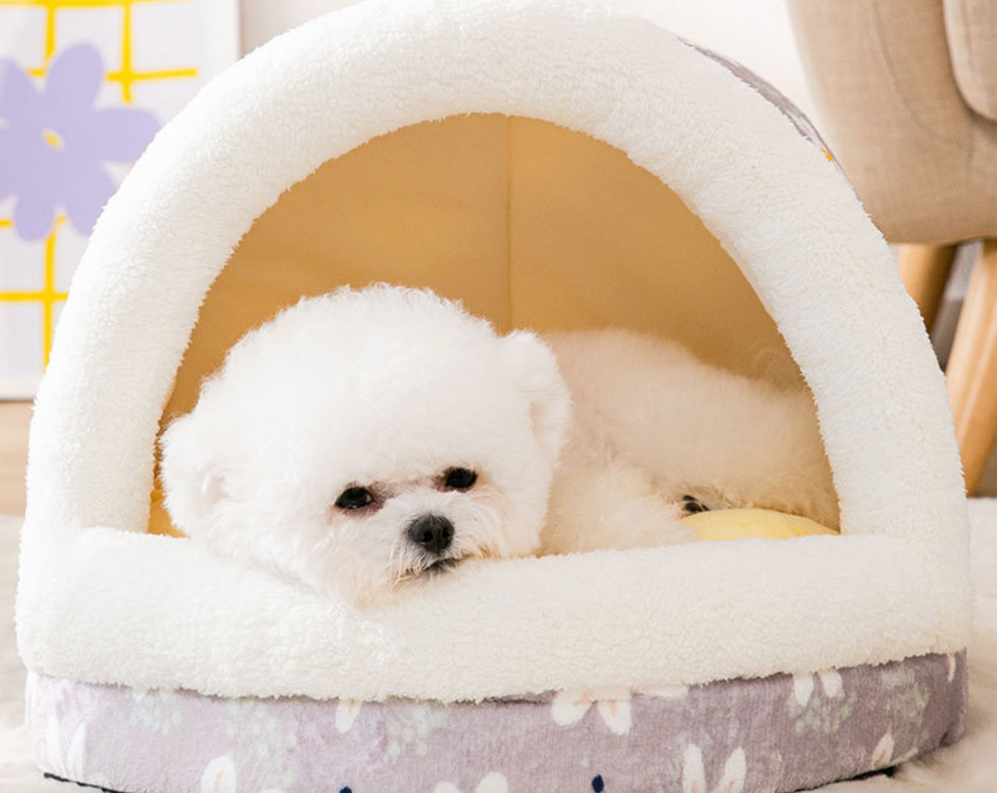 Chenpet Custom New Design Of Pet House Dog Beds