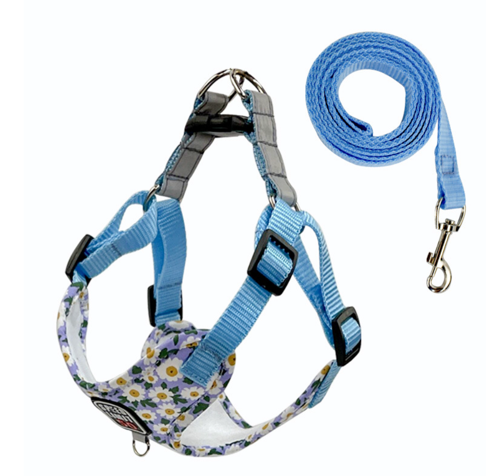 Chenpet Custom Pet Collars Dog Printed Harness Dog Accessories